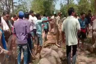 Clash between forest staff and encroachers
