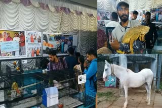 animal husbandry department stall  animal husbandry department stall ente keralam  animal husbandry department  animal department ente keralam exhibition stall  ente keralam  animal husbandary  ente keralam thiruvananthapuram  എന്‍റെ കേരളം  എന്‍റെ കേരളം പ്രദർശന വിപണന മേള  എന്‍റെ കേരളം വിപണന മേള  മൃഗസംരക്ഷണ വകുപ്പ്  മൃഗസംരക്ഷണ വകുപ്പ് സ്റ്റാൾ എന്‍റെ കേരളം  മൃഗസംരക്ഷണ വകുപ്പ് എന്‍റെ കേരളം  മൃഗസംരക്ഷണ വകുപ്പ് സ്റ്റാൾ