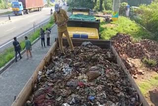 Torus lorries carrying garbagein Kochi  Torus lorries seized in Kochi  Kochi news updates  latest news in Kochi  ടോറസ് ലോറികള്‍ പിടികൂടി  ഡപിങ് യാര്‍ഡിലേക്ക് മാറ്റി  പൊലീസില്‍ പരാതി നല്‍കാനൊരുങ്ങി നഗരസഭ  ജൈവ അജൈവ മാലിന്യം  നഗരസഭ ഹെൽത്ത് സ്ക്വാഡ്  മൂന്ന് ടോറസ് ലോറികൾ പിടിയിൽ  കളമശ്ശേരി എച്ച്എംടി  എറണാകുളം വാര്‍ത്തകള്‍  എറണാകുളം ജില്ല വാര്‍ത്തകള്‍  എറണാകുളം പുതിയ വാര്‍ത്തകള്‍  kerala news updates  waste problems  കൊച്ചി മാലിന്യം