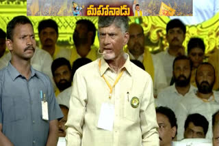 Chandrababu in Mahanadu