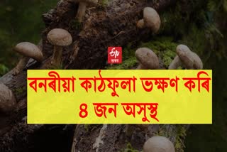 4 ill after eating wild mushrooms in Charaideo