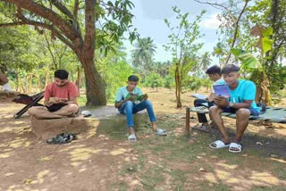Navsari News: અનોખી લાઇબ્રેરી, આંબાવાડીમાં બેસીને વાંચો અભ્યાસના પુસ્તકો