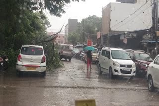 आंधी बारिश ने मचाई भारी तबाही,