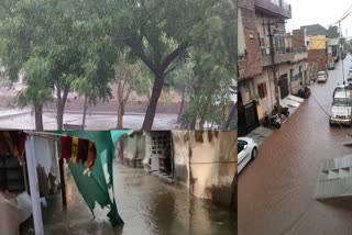 Weather changed in Bikaner