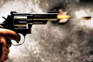 Indiscriminate firing killed two uncles Panna
