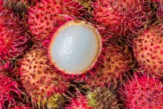 Rambutan Health Benefits