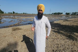 The MLA from Barnala raised an objection to the farmer leaving water in the empty field