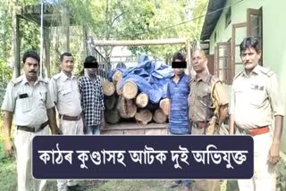 Huge amount of wood seized in Morigaon