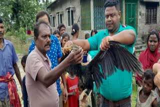 Rescue of rare birds