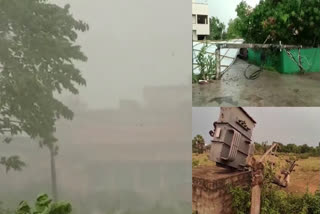 Rain Havoc In Bhadradri Kothagudem