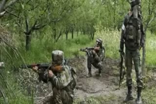 Bijapur Naxal arrests