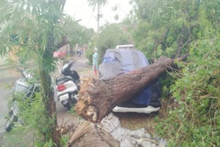 MP Guna Heavy damage due storm and rain