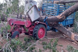 Rain And thunderstorm hits Sirohi