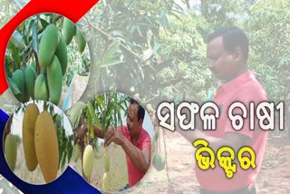 sundargarh youth cultivate fruits through organic farming