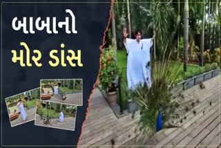 Dhirendra Shastri video : બાબા બાગેશ્વર મોર સાથે કળા કરતા નજરે ચઢ્યા