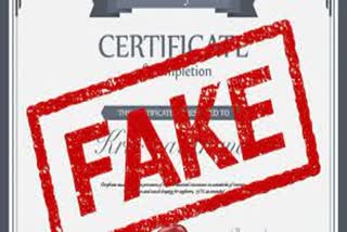 Bogus Medical Certificate : બોગસ મેડિકલ સર્ટિફિકેટ બનાવી આપનાર ડોક્ટર સામે હાઈકોર્ટના તપાસના આદેશ