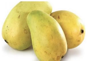 mangoes