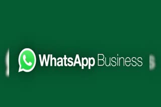 WhatsApp Status Archive Feature