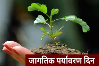 World Environment Day 2023