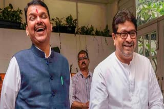 Fadnavis Raj Thackeray Meeting