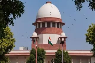 SC dismisses petition challenging surrogacy rule