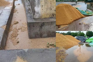 Crop Loss In Telangana