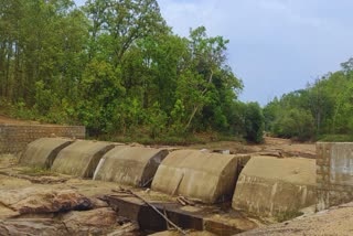 water of dam shed to kill fish in jashpur