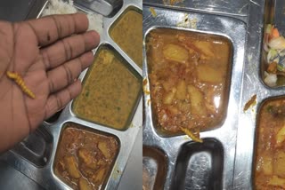 bhopal company canteen food worms found