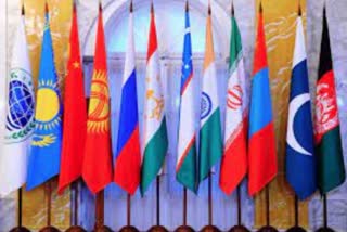 summit of the SCO Council