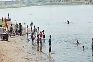 https://www.etvbharat.com/hindi/uttar-pradesh/state/etawah/ganga-dussehra-in-etawah-6-people-drowned-in-yamuna-river/up20230530162258360360247
