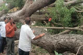 Rain Related incidents in Mandya