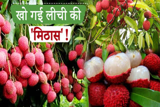 Dehradun litchi