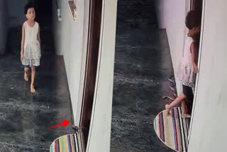 Girl Miraculously Survives from Snake Bite  Girl Miraculously Survives  Snake Bite  CCTV visuals  വാതില്‍പടിക്ക് സമീപം നിലയുറപ്പിച്ച് പാമ്പ്  പാമ്പ്  പെണ്‍കുട്ടി രക്ഷപ്പെട്ടത് തലനാരിഴയ്‌ക്ക്  കടിയേല്‍ക്കാതെ രക്ഷപ്പെട്ടത് തലനാരിഴയ്‌ക്ക്  വീഡിയോ വൈറല്‍  ബെലഗാവി  പെൺകുട്ടി