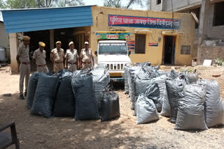 illegal doda sawdust seized in Chittorgarh worth rs 25 lakh
