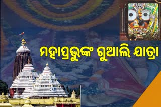 ଶ୍ରୀମନ୍ଦିରରେ ମହାପ୍ରଭୁଙ୍କ ଗୁଆଲୀ ନୀତି