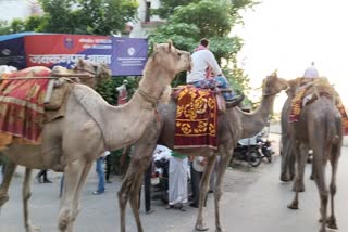 protest-in-police-station-with-elephant-horse-and-camel-in-bihar-murder-case