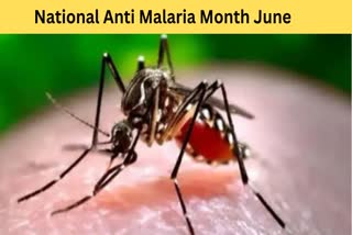 Malaria