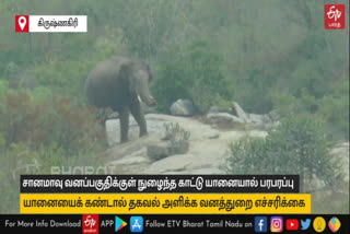 சானமாவு வனப்பகுதிக்கு இடம் பெயர்ந்த ஒற்றைக்காட்டு யானையால் பரபரப்பு!