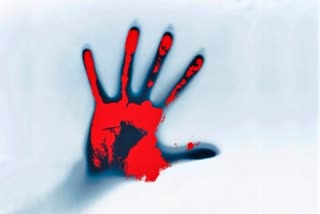 Man kills wife for refusing sex  Man kills wife for refusing sex in Hyderabad  ತಿಂಗಳ ಹಿಂದೆ ಮಗುವಿಗೆ ಜನ್ಮ  ಲೈಂಗಿಕ ಕ್ರಿಯೆಗೆ ಒಪ್ಪದ ಪತ್ನಿ  ಪತ್ನಿಯನ್ನು ಕೊಂದ ಪತಿ  ತೆಲಂಗಾಣದ ಹೈದರಾಬಾದ್​ನಲ್ಲಿ ದಾರುಣ ಘಟನೆ  ಪತ್ನಿಯನ್ನು ಕೊಲೆ ಮಾಡಿದ ಪತಿ  ಪತ್ನಿ ಲೈಂಗಿಕತೆಗೆ ನಿರಾಕರಿಸಿದ್ದಕ್ಕೆ ಕೋಪಗೊಂಡ ಪತಿ  ಆಕೆಯ ಕತ್ತು ಹಿಸುಕಿ ಕೊಂದಿರುವ ಘಟನೆ  ಆರೋಪಿ ಜಟಾವತ್ ತರುಣ್  ಇವರಿಬ್ಬರು 2021ರಲ್ಲಿ ಪ್ರೇಮ ವಿವಾಹ