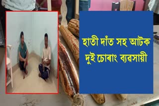 Ivory smuggling in Dhemaji