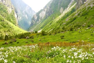 Valley of Flowers Chamoli