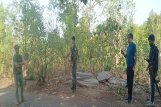 Reward Naxalite killed in encounter in Gumla