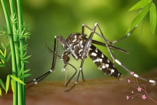 National Anti Malaria Month News