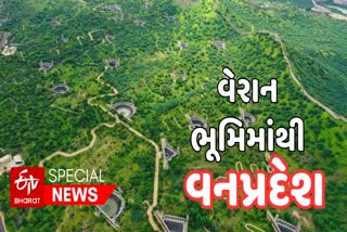 World Environment Day: રણભૂમિ ઉપર આવેલું છે લીલુછમ જંગલ, દુનિયાનું સૌથી વિશાળ મિયાવાંકી ફોરેસ્ટ