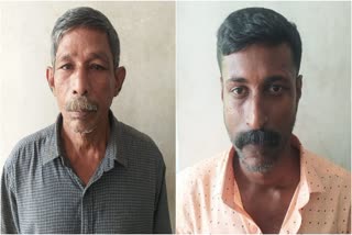 attacked old woman and stolen her ornaments  men arrested for attacked old woman  വൃദ്ധയുടെ കയ്യിൽ നിന്നും സ്വർണം കവർന്ന സംഭവം  മാമ്പഴം ചോദിച്ചെത്തി കവര്‍ച്ച  വൃദ്ധയുടെ സ്വർണം തട്ടിയെടുത്ത സംഭവം  ഇടുക്കി മുട്ടം സ്വദേശി അഷ്‌റഫ്‌  എറണാകുളം സ്വദേശി ലിബിൻ ബെന്നി