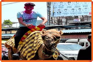 Student Procession On Camel