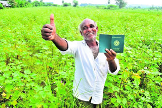 KTR Tweet on Telangana Agriculture