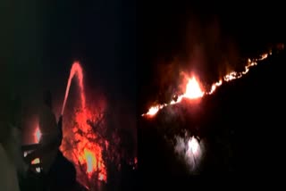Kutch Fire News : બન્નીના ઘાસિયા મેદાનોમાં 15 કિલોમીટર વિસ્તારનું ઘાસ આગમાં સ્વાહા, પશુઓનો ઘાસચારો હોમાયો