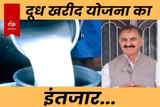 milk procurement scheme