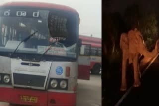 elephant-attack-ksrtc-bus-in-tamilunadu-bannnari